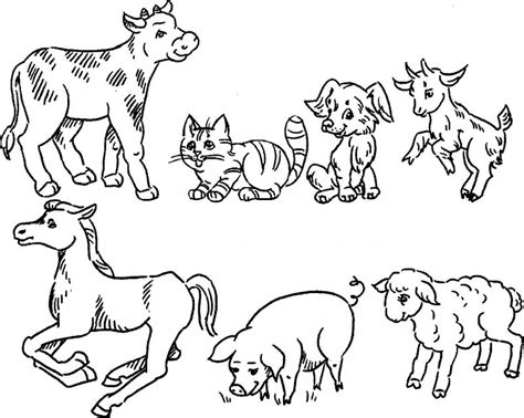 Desene Cu Animale Domestice De Colorat Imagini și Planșe De Desene De