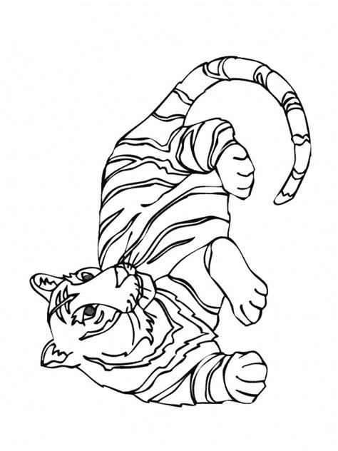 Coloriage Tigre simple dessin gratuit à imprimer