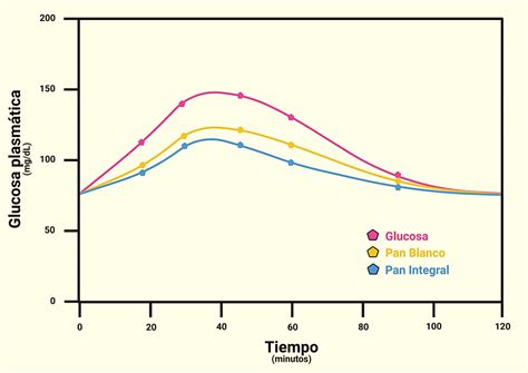Curva De Glucosa Valores Normales Clubezeroseco