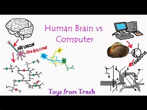 Computers versus the human brain the human mind and computer are both interfaces that help with a person's ability to complete multiple task. Human Brain Vs Computer | English - YouTube