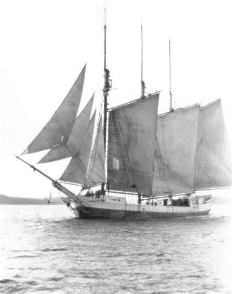 Nova Scotia Archives Schooners Workhorses Of The Sea Classic