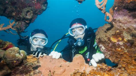 Scuba Diving In Antalya Kemer Travel Inn Turkey
