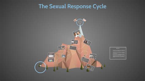 the sexual response cycle by janee collins
