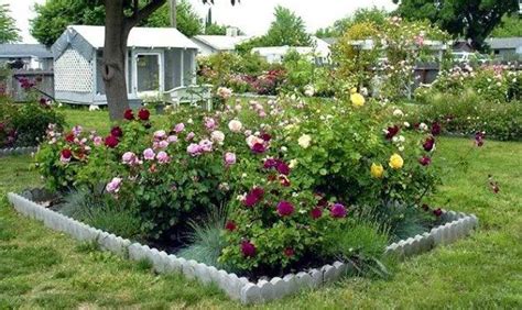 Rose Garden Design Ideas Jhmrad 29025