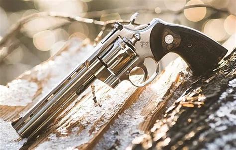 10 Best Revolvers 2022 Buyers Guide Best Survival