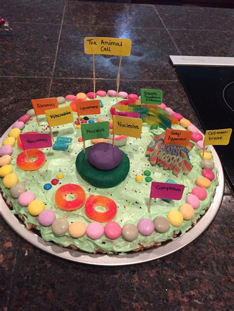 Animal Cell Project Edible Project Ideas Pinterest