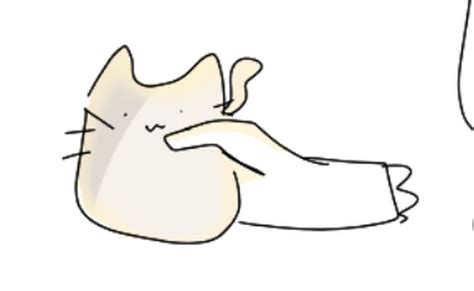Latte Cat Skrunky Post Cat Instat Forst Bread Funny Mem Joke Fandom