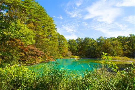 Fukushima Travel Goshikinuma Lakes Wow U Japan