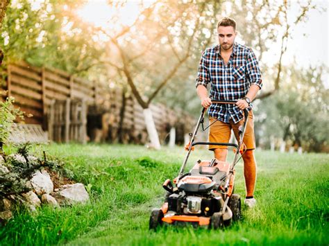Of course, professional pest control isn't free. Lawn & Weed Control - Regal Pest Control in Ocala, The ...