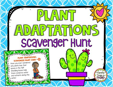 Plant Adaptations Scavenger Hunt And Word Search Plant Adaptations