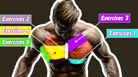 5 Best Chest Exercises You Should Be Doing Youtube