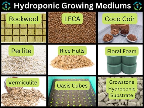 Best Hydroponic Growing Mediums For Everyday Hobbyists