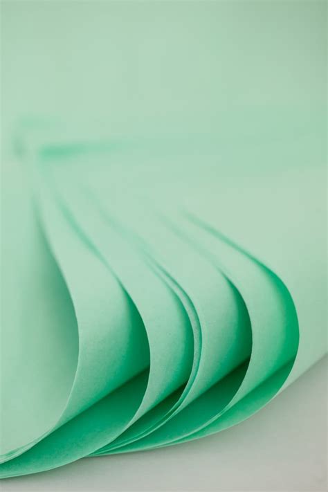 Mint Green Tissue Paper 24 Sheets Bulk Tissue Paper Pale Etsy