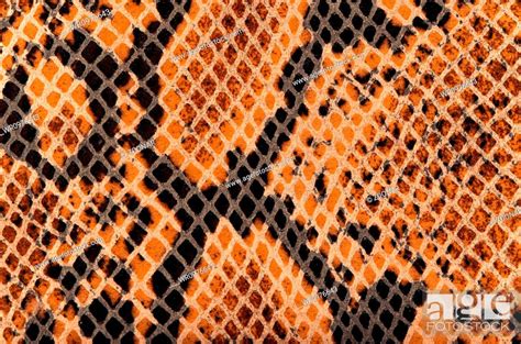 Snake Skin Leather Texture Stock Photo Picture And Royalty Free Image