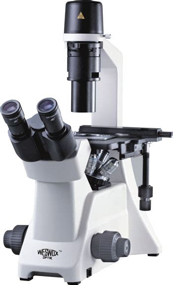 Weswox Inverted Tissue Culture Microscope Wtc6500 At Best Price In