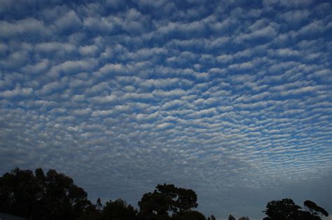 Altocumulus Mackerel Sky Clouds Photographs Photography Photos Pictures