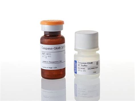 Caspase Glo Assay Systems Promega