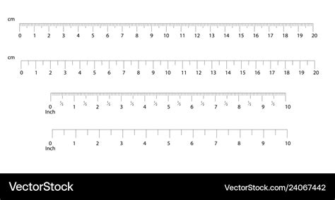 Inch And Metric Rulers Centimeters And Inches Vector Image