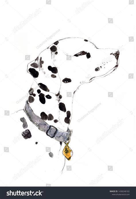 Watercolor Illustration Dog Breed Dalmatian Stock Illustration