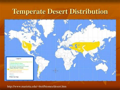 PPT The Biome Of A Temperate Desert PowerPoint Presentation Free