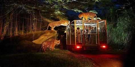 Bali Safari and Marine Park Tour - Buffalo Adventure