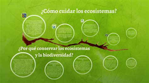 Ejemplos De Como Cuidar El Ecosistema Layarkaca21 Lk21