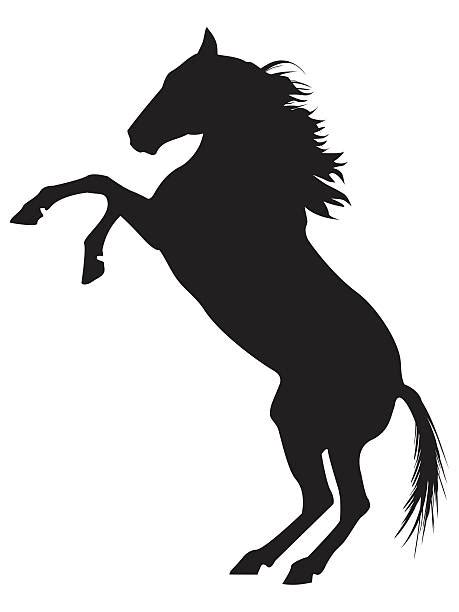 Svg Paint Horse Silhouette 270 Dxf Include