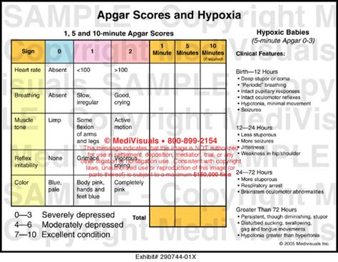 Apgar Scores And Hypoxia Medical Illustration Medivisuals