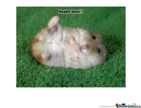 Hamster By Memeclau Meme Center