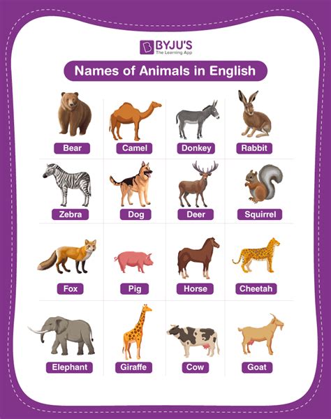 Animals Names Explore List Of 100 Names Of Animals In English