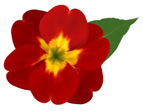 Red Flowers Images Red Flower Transparent Clip Art Gallery