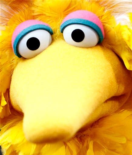 Aehq Leave Big Bird Out Of It Says Sesame Workshop Video News