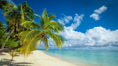 Fond d écran x px plage des nuages île paysage la nature palmiers le sable mer