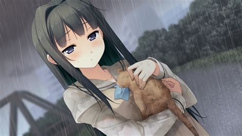 Anime Girl Holding Black Cat