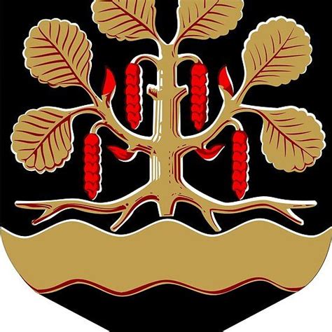 Coat Of Arms Of Leppävirta Finland Coat Of Arms Dnd Inspiration