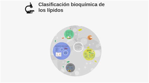 Clasificación Bioquímica De Los Lípidos By Vivian Burgueño