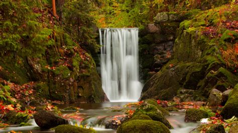 Download Wallpaper 2560x1440 Waterfall Autumn Stones Branches