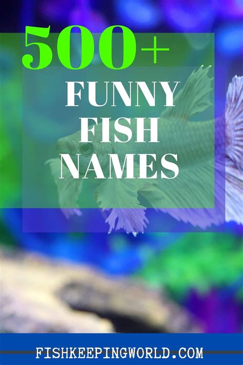 500 Funny Fish Names From Tank You To Solemate In 2020 Fishing