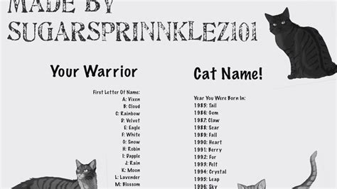 Warrior Cat Name Generator Youtube