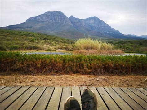 Fynbos Walks Wild Things Outdoor