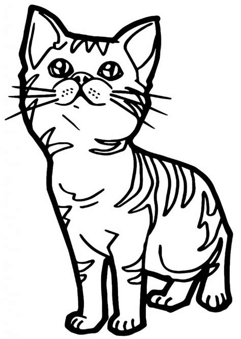 50 Desenhos De Gatinhos Para Colorir Como Fazer Em Casa