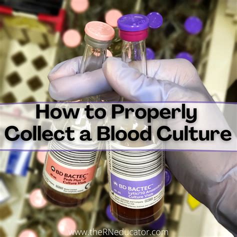 How To Properly Collect A Blood Culture The Rn Educator