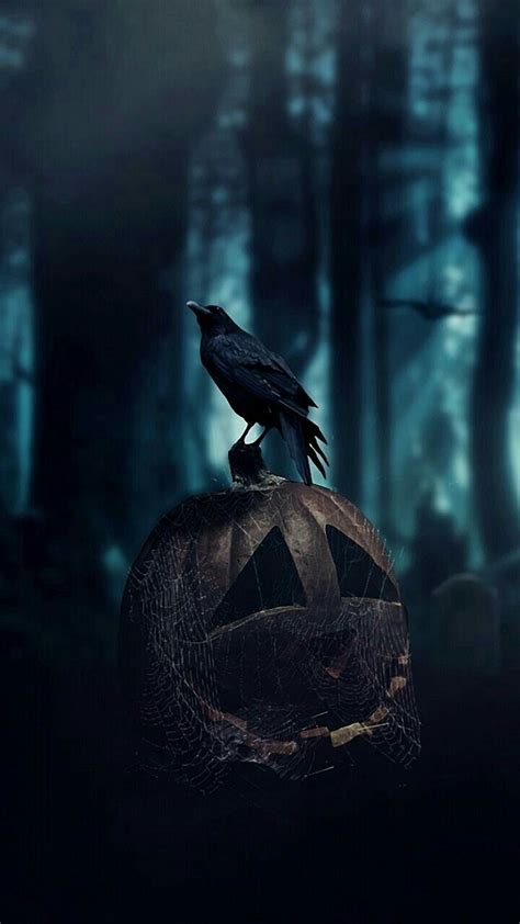 Crow Raven Halloween Halloween Wallpaper Iphone Halloween