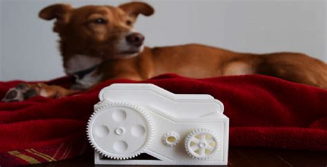 3d Printing Dog Helps Creates These One Piece Fully Assembled Kinetic