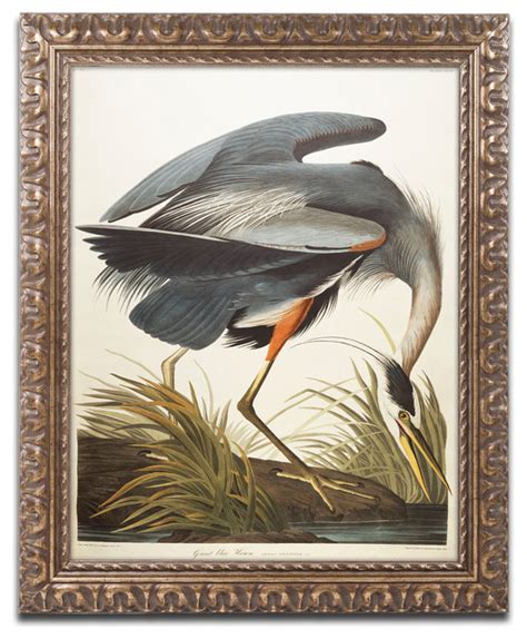 Great Blue Heron Ornate Framed Canvas Art By John James Audubon