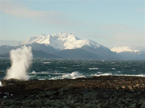 Vilsund blue a/s was the first mussel producer in the world to be certified by the marine stewardship council (msc), which recognizes and rewards sustainable fishing practices. Blue Mussel cabin