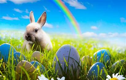 Easter Bunny Rabbit Background Spring Backgrounds Rainbow