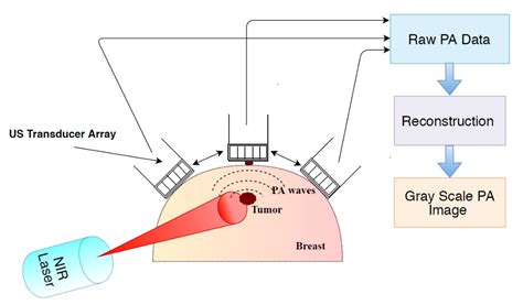 Applied Sciences Free Full Text Photoacoustic Imaging For