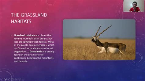 types of animals habitats - YouTube