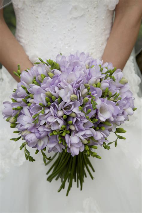 Maybe you would like to learn more about one of these? Beautiful lilac freesia hand tied bouquet by Bows & Blooms ...